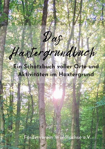 Produktbild: Das Haxtergrundbuch