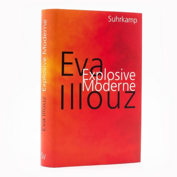 Produktbild: Explosive Moderne