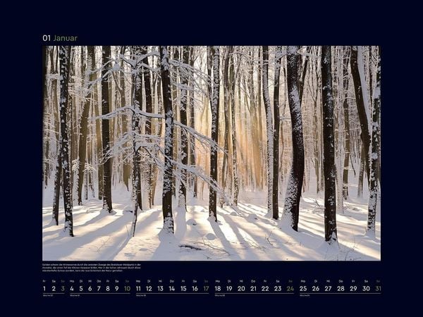 Produktbild: Magische W&auml;lder der Erde - KUNTH Wandkalender 2027