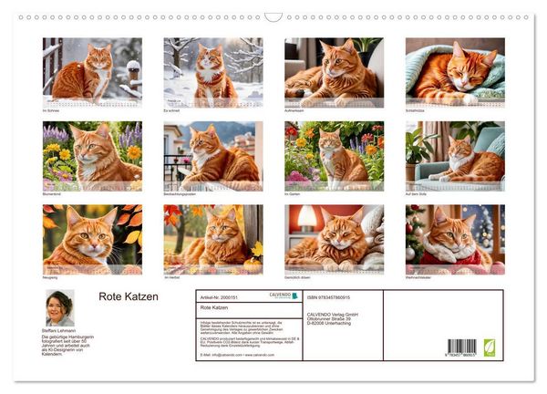 Produktbild: Rote Katzen (Wandkalender 2026 DIN A2 quer), CALVENDO Monatskalender