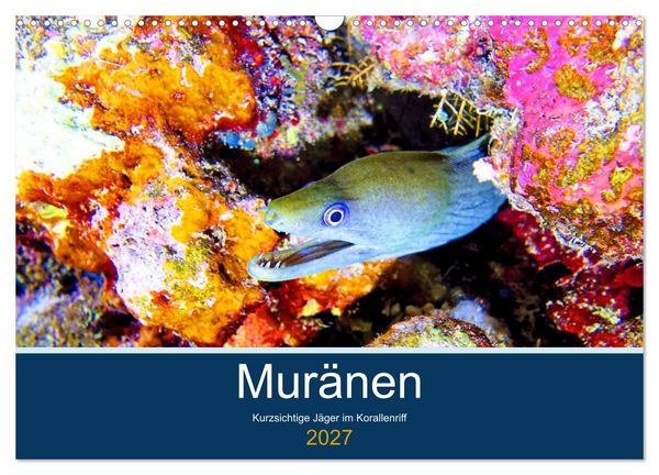 Produktbild: Mur&auml;nen - Kurzsichtige J&auml;ger im Korallenriff (Wandkalender 2027 DIN A3 quer), CALVENDO Monatskalender