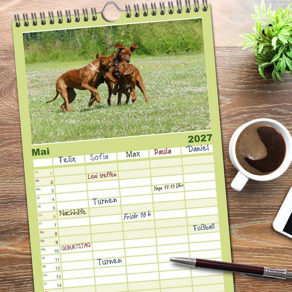 Produktbild: Familienplaner 2027 - Rhodesian Ridgeback - Jung, wild, zuckers&uuml;&szlig; mit 5 Spalten (Wandkalender, 21 x 45 cm) CALVENDO