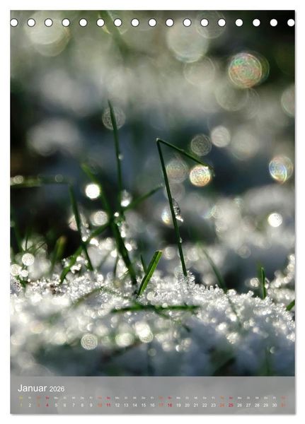 Produktbild: Mit Bokeh-Fotografie durch das Jahr (Tischkalender 2026 DIN A5 hoch), CALVENDO Monatskalender
