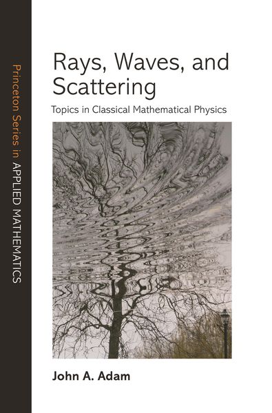Produktbild: Rays, Waves, and Scattering