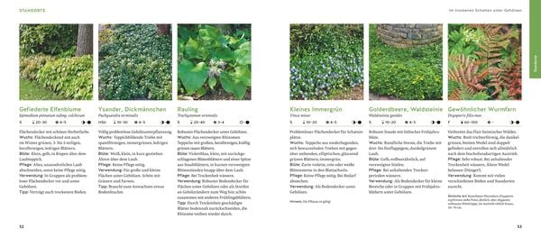 Produktbild: Quickfinder Welche Pflanze passt wohin?