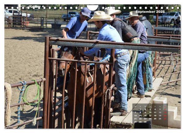 Produktbild: Faszination Rodeo (Wandkalender 2026 DIN A4 quer), CALVENDO Monatskalender