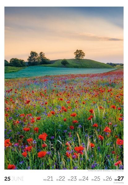 Produktbild: Natur Wochenkalender 2027