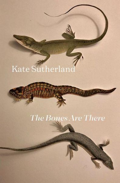 Produktbild: The Bones Are There