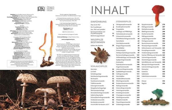 Produktbild: Pilze