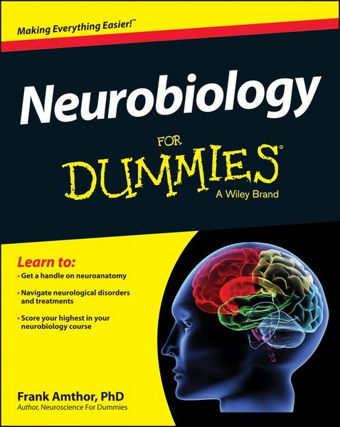 Produktbild: Neurobiology For Dummies