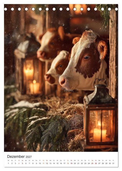 Produktbild: Die Liebe zur Kuh (Tischkalender 2027 DIN A5 hoch), CALVENDO Monatskalender