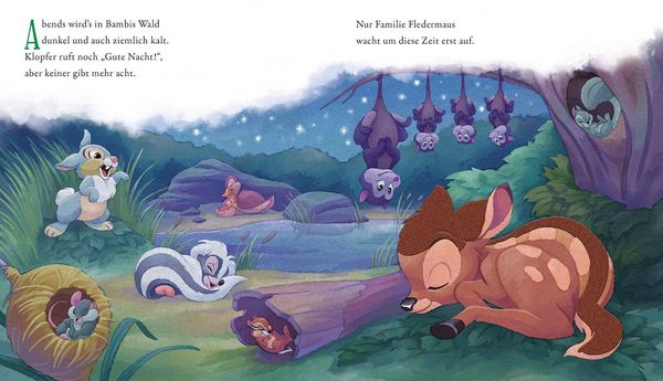 Produktbild: Disney: Gute Nacht, ihr lieben Tiere!
