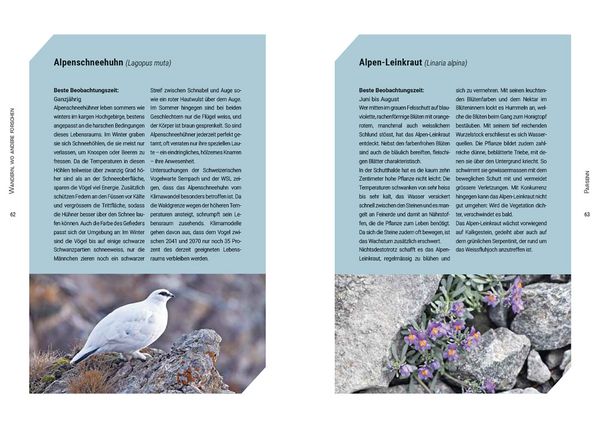 Produktbild: Wandern, wo andere forschen