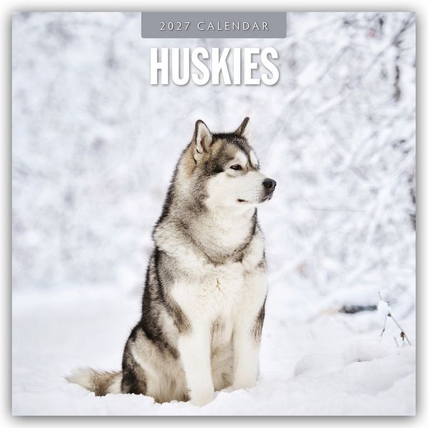 Produktbild: Huskies &ndash; Husky &ndash; Huskys 2027 &ndash; 16-Monatskalender
