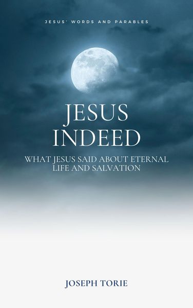 Produktbild: Jesus Indeed (Jesus and Gospels, #1)