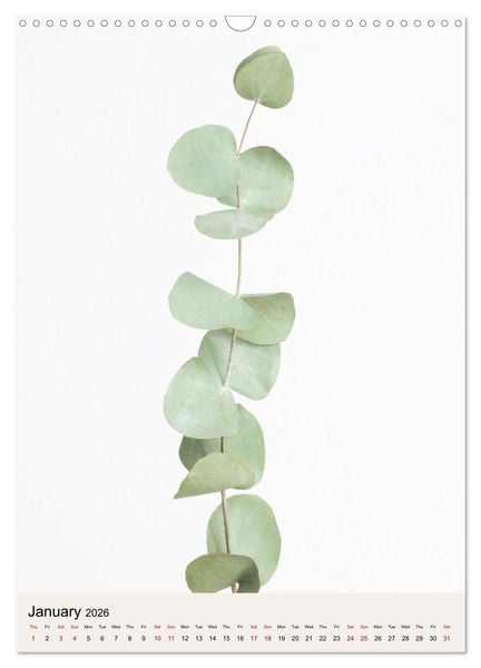 Produktbild: Dried Flowers (Wall Calendar 2026 DIN A3 portrait), CALVENDO 12 Month Wall Calendar