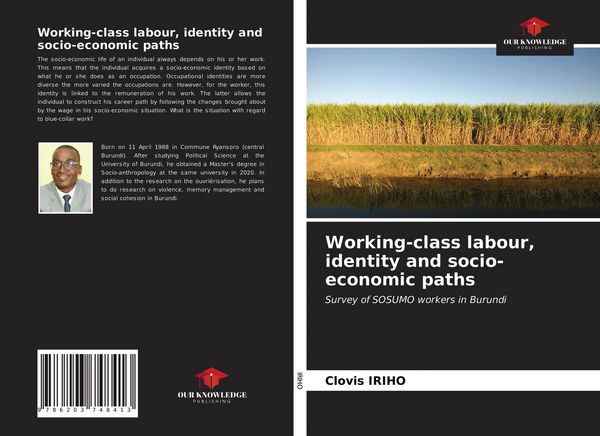 Produktbild: Working-class labour, identity and socio-economic paths