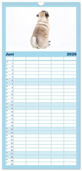 Produktbild: Familienplaner 2026 - Mops - unwiderstehlich und charmant mit 5 Spalten (Wandkalender, 21 x 45 cm) CALVENDO