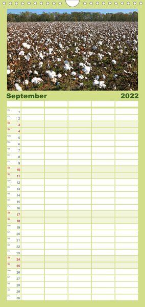 Produktbild: Familienplaner S&uuml;dosten der USA (Wandkalender 2022 , 21 cm x 45 cm, hoch)