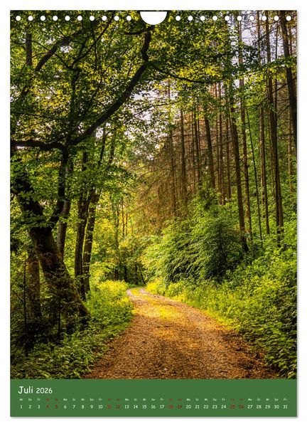 Produktbild: Ich bin dann mal im Wald (Wandkalender 2026 DIN A4 hoch), CALVENDO Monatskalender