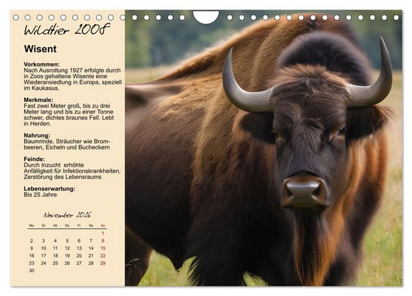 Produktbild: Wildtiere des Jahres (Wandkalender 2026 DIN A4 quer), CALVENDO Monatskalender