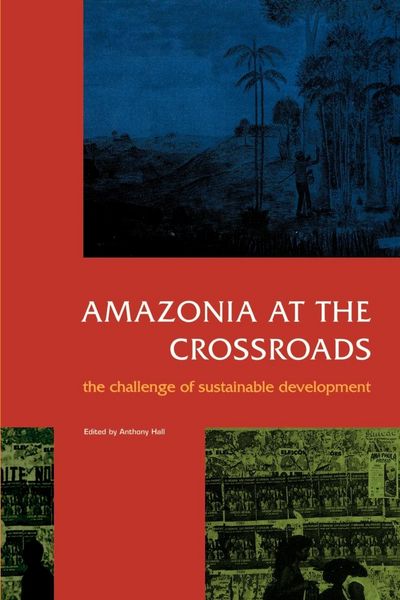 Produktbild: Amazonia at the Crossroads