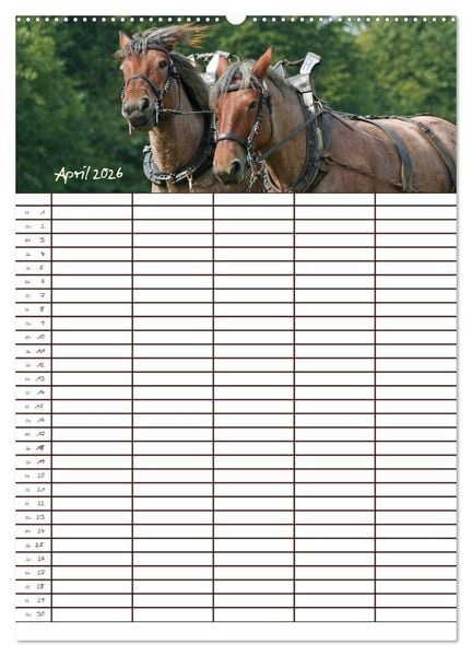 Produktbild: Der Kaltblut-Familienplaner (hochwertiger Premium Wandkalender 2026 DIN A2 hoch), Kunstdruck in Hochglanz