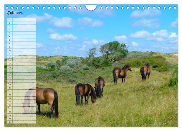Produktbild: Egmond aan Zee (Wandkalender 2026 DIN A4 quer), CALVENDO Monatskalender