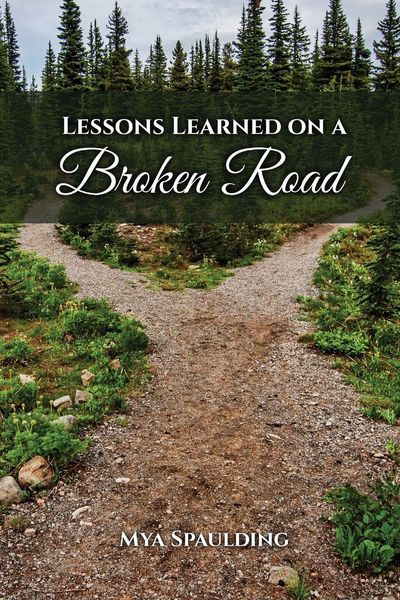 Produktbild: Lessons Learned on a Broken Road