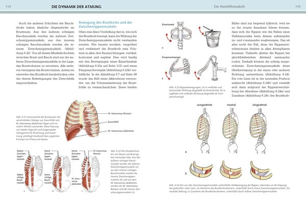 Produktbild: Yoga-Anatomie