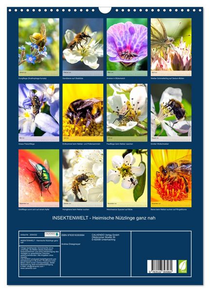 Produktbild: INSEKTENWELT - Heimische N&uuml;tzlinge ganz nah (Wandkalender 2026 DIN A3 hoch), CALVENDO Monatskalender