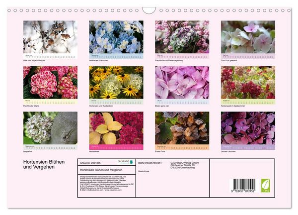 Produktbild: Hortensien Bl&uuml;hen und Vergehen (Wandkalender 2026 DIN A3 quer), CALVENDO Monatskalender