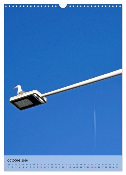 Produktbild: La mouette (Calendrier mural 2026 DIN A3 horizontal), CALVENDO calendrier mensuel