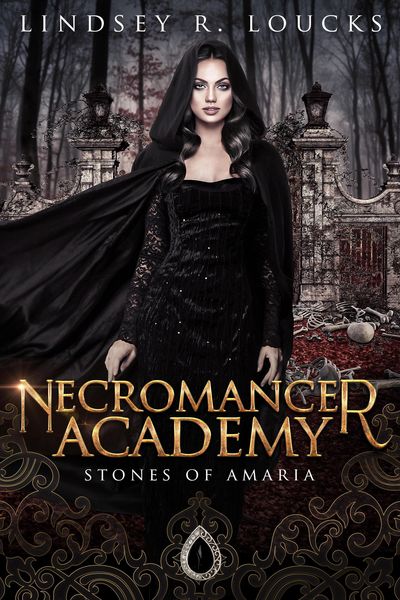 Produktbild: Necromancer Academy