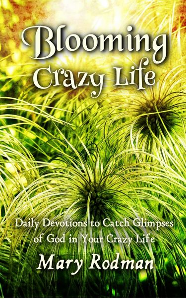 Produktbild: Blooming Crazy Life: Daily Devotions to Catch Glimpses of God in your Crazy Life