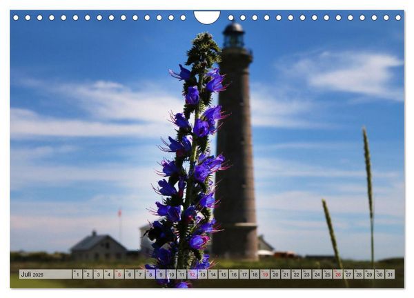 Produktbild: Skagen &ndash;&nbsp;Licht und Leben an D&auml;nemarks Nordspitze (Wandkalender 2026 DIN A4 quer), CALVENDO Monatskalender