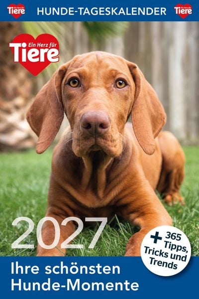 Produktbild: Hunde Tageskalender 2027