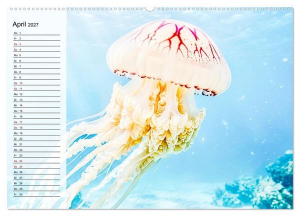 Produktbild: Quallen - Faszinierende Urzeitwesen der Meere (hochwertiger Premium Wandkalender 2027 DIN A2 quer), Kunstdruck in Hochglanz