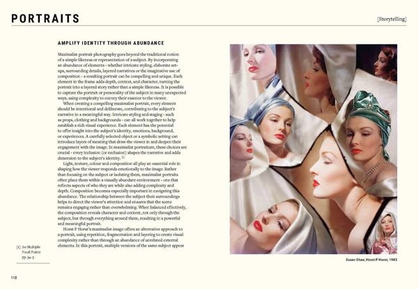 Produktbild: The Maximalist Photographer