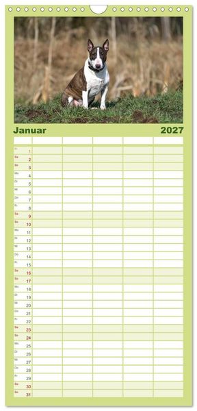 Produktbild: Familienplaner 2027 - Einmal Bullterrier - immer Bullterrier mit 5 Spalten (Wandkalender, 21 x 45 cm) CALVENDO