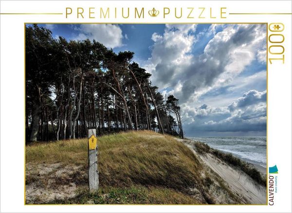 Produktbild: CALVENDO Puzzle Der Wald mit seinen charakteristischen B&auml;umen reicht bis hinunter an den Strand | 1000 Teile Lege-Gr&ouml;&szlig;e 64x48cm Foto-Puzzle f&uuml;r gl&uuml;ckl