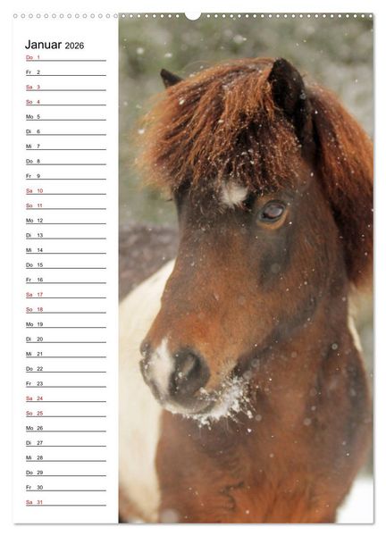 Produktbild: Isl&auml;nder im Portrait (hochwertiger Premium Wandkalender 2026 DIN A2 hoch), Kunstdruck in Hochglanz