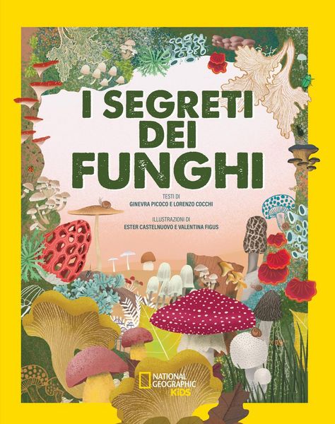 Produktbild: I segreti dei funghi