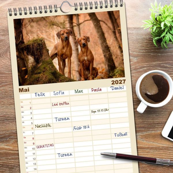 Produktbild: Familienplaner 2027 - Rhodesian Ridgeback - Herzen auf vier Pfoten mit 5 Spalten (Wandkalender, 21 x 45 cm) CALVENDO