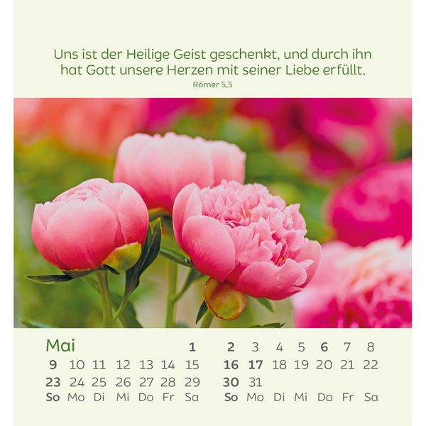 Produktbild: Kleine Blumengr&uuml;&szlig;e 2027