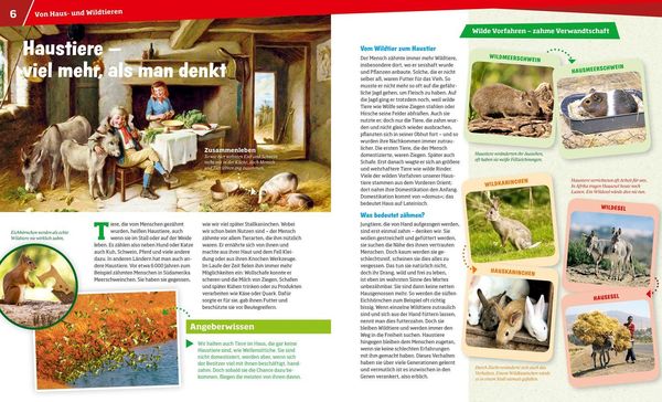 Produktbild: WAS IST WAS Band 72 Haustiere. Unsere liebsten Freunde