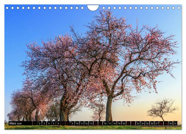 Produktbild: Augenschmaus Pfalz (Wandkalender 2026 DIN A4 quer), CALVENDO Monatskalender