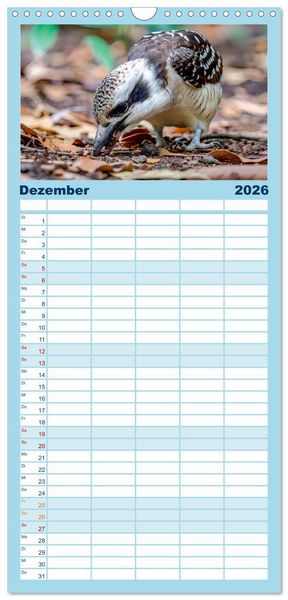 Produktbild: Familienplaner 2026 - Der Kookaburra - Im australischen Busch mit dem lachenden Hans mit 5 Spalten (Wandkalender, 21 x 45 cm) CALVENDO