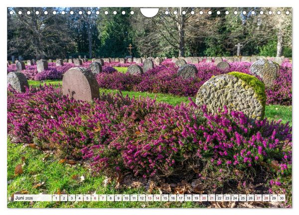 Produktbild: Niedersachsen - G&ouml;ttingen (Wandkalender 2026 DIN A4 quer), CALVENDO Monatskalender