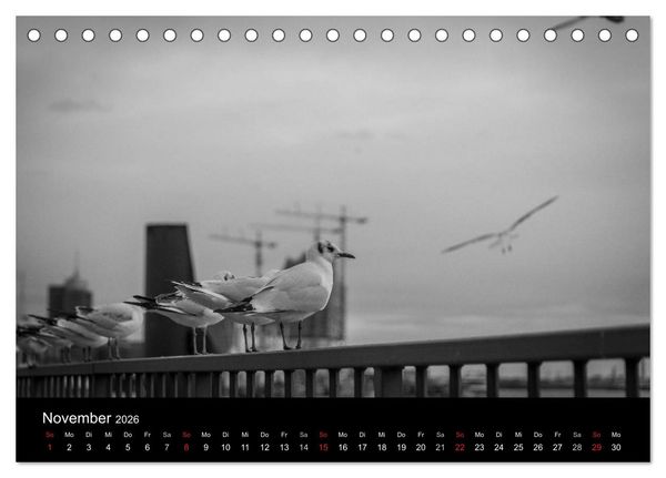 Produktbild: Mein Hamburg (Tischkalender 2026 DIN A5 quer), CALVENDO Monatskalender